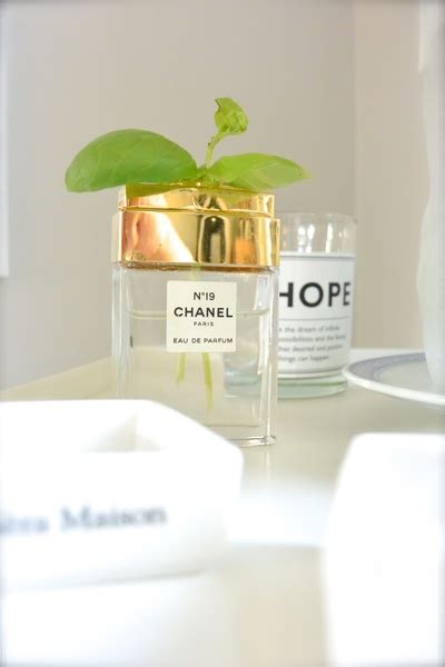 chanel hajuvesi sokos